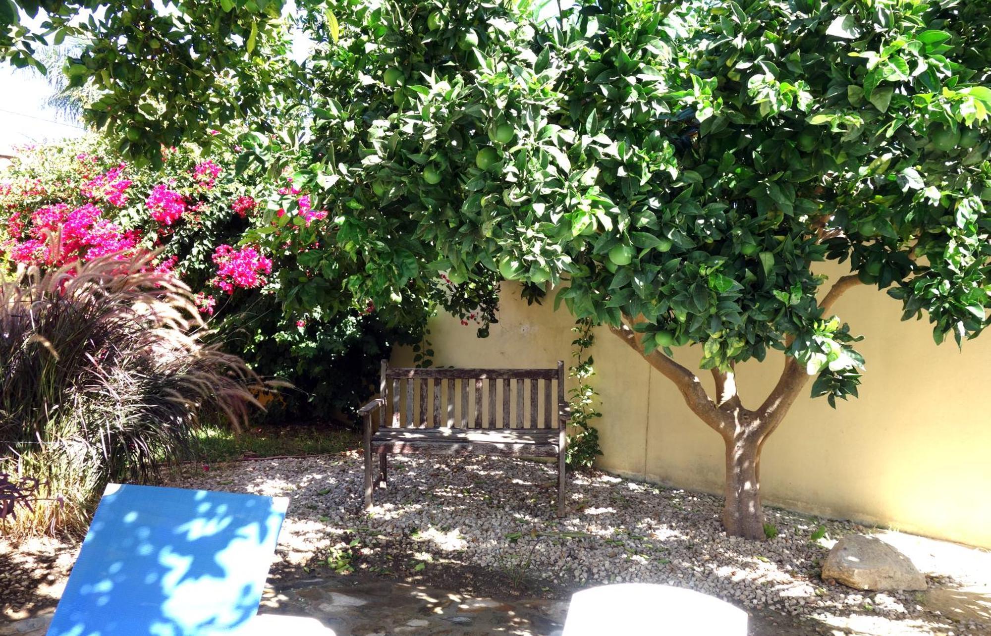Casa Limon - Ferienhaus - Pool - Klimaanlage - W-Lan شيكلانا دي لا فرونتيرا المظهر الخارجي الصورة